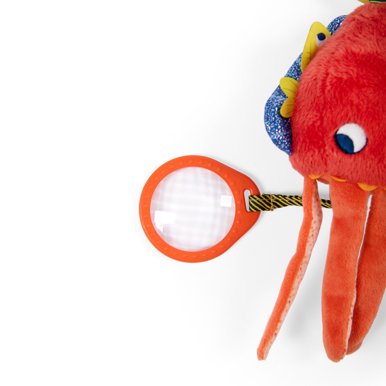 Activity Cuttlefish