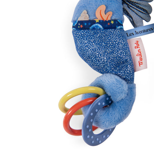 Activity sea horse