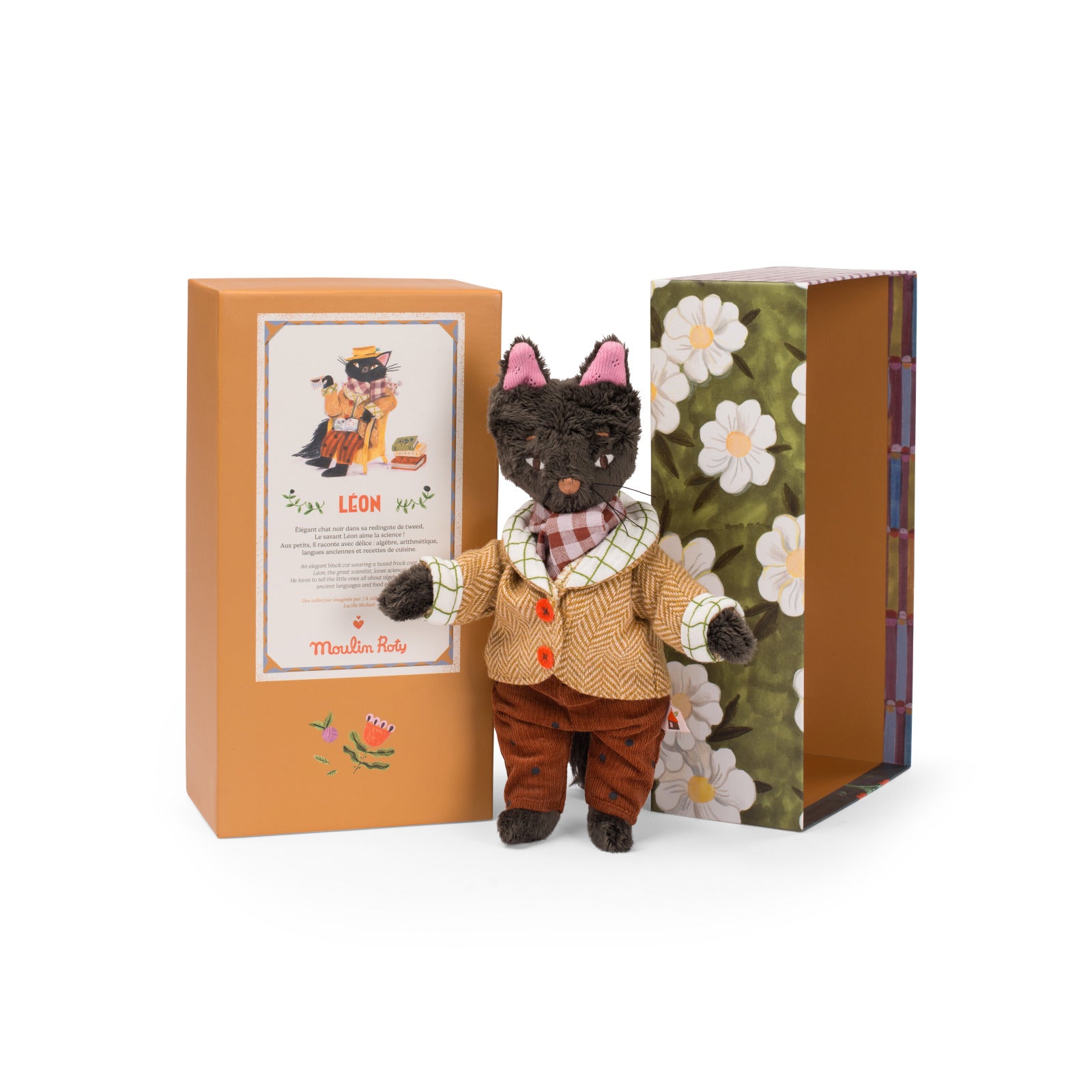Gato León