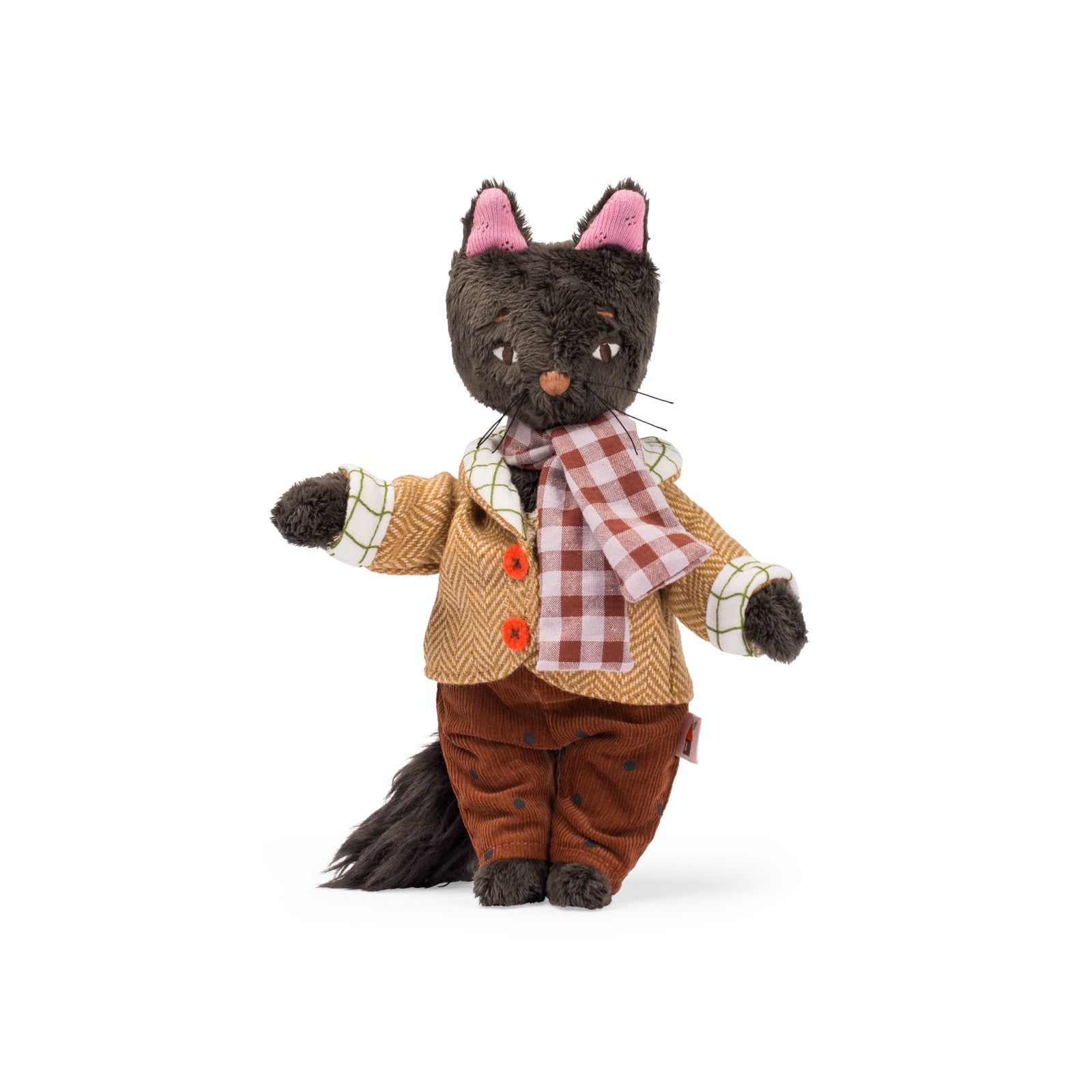 Gato León