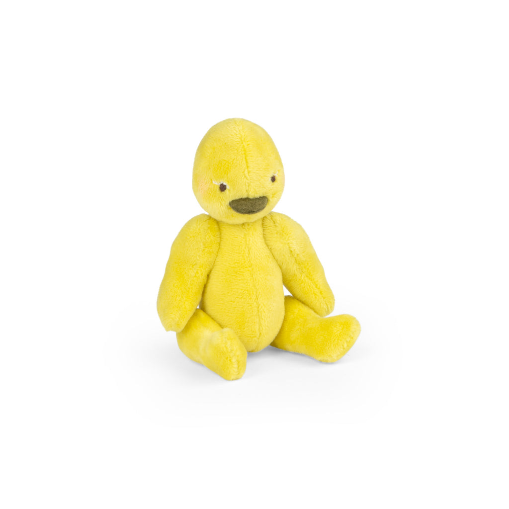 Baby Rita the duck