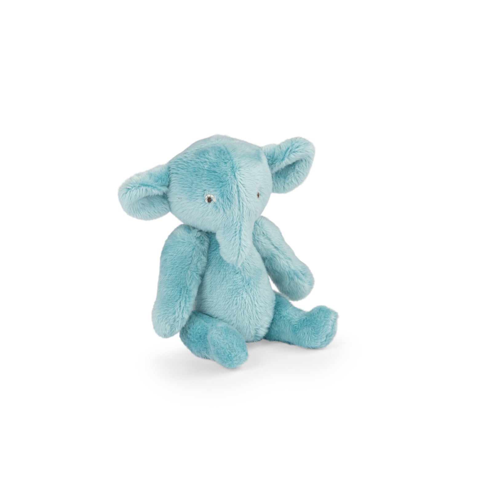 Baby Pablo the elephant